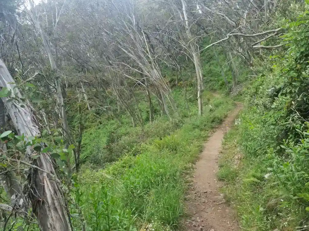 Gangs Gangs mountain bike trail - scenic bend