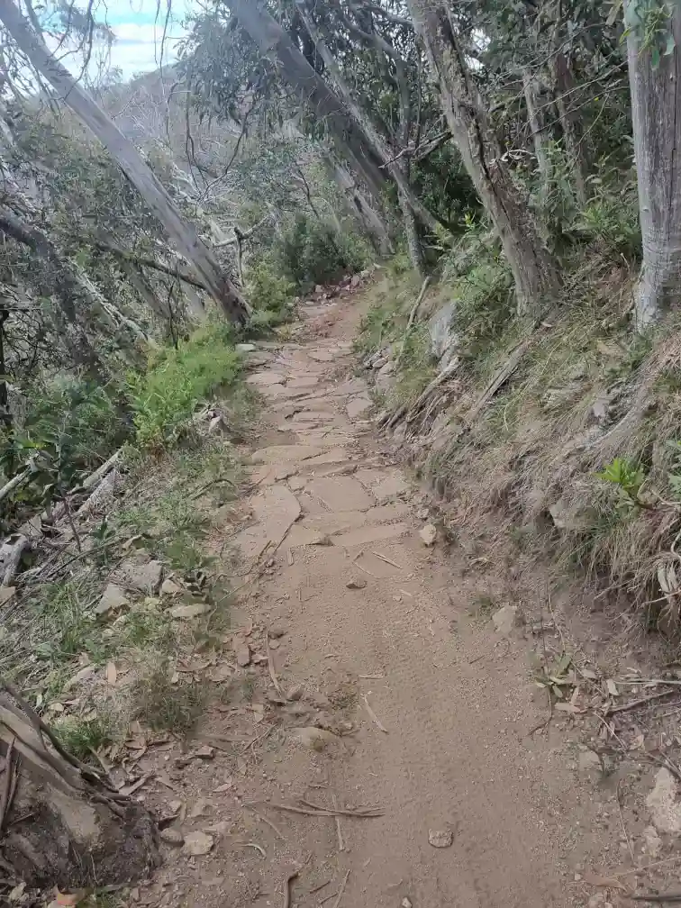 Gangs Gangs mountain bike trail - short rock garden